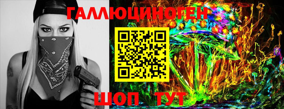 Галлюциногенные грибы Psilocybe Ивантеевка