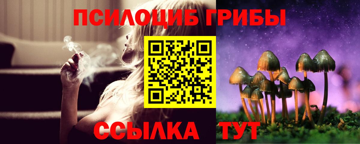 Галлюциногенные грибы Magic Shrooms  Вход с VPN  Ивантеевка  Галлюциногенные грибы Psilocybe 